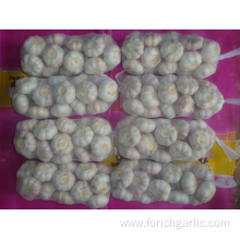 Normal white garlic packed in 1kg 10bags carton